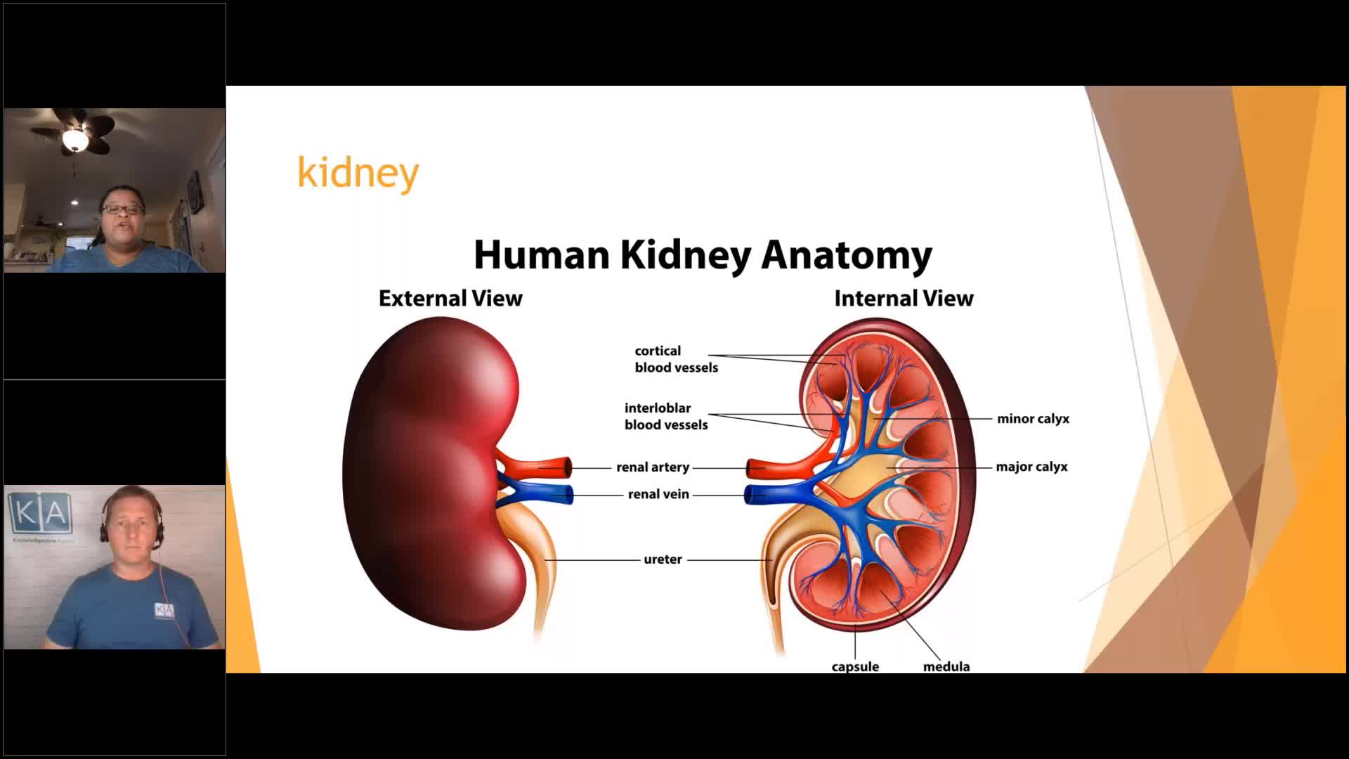 Thumbnail image for Knowledgeable Aging - Ep 412 - Urinary Tract Infections: What You Need To Know