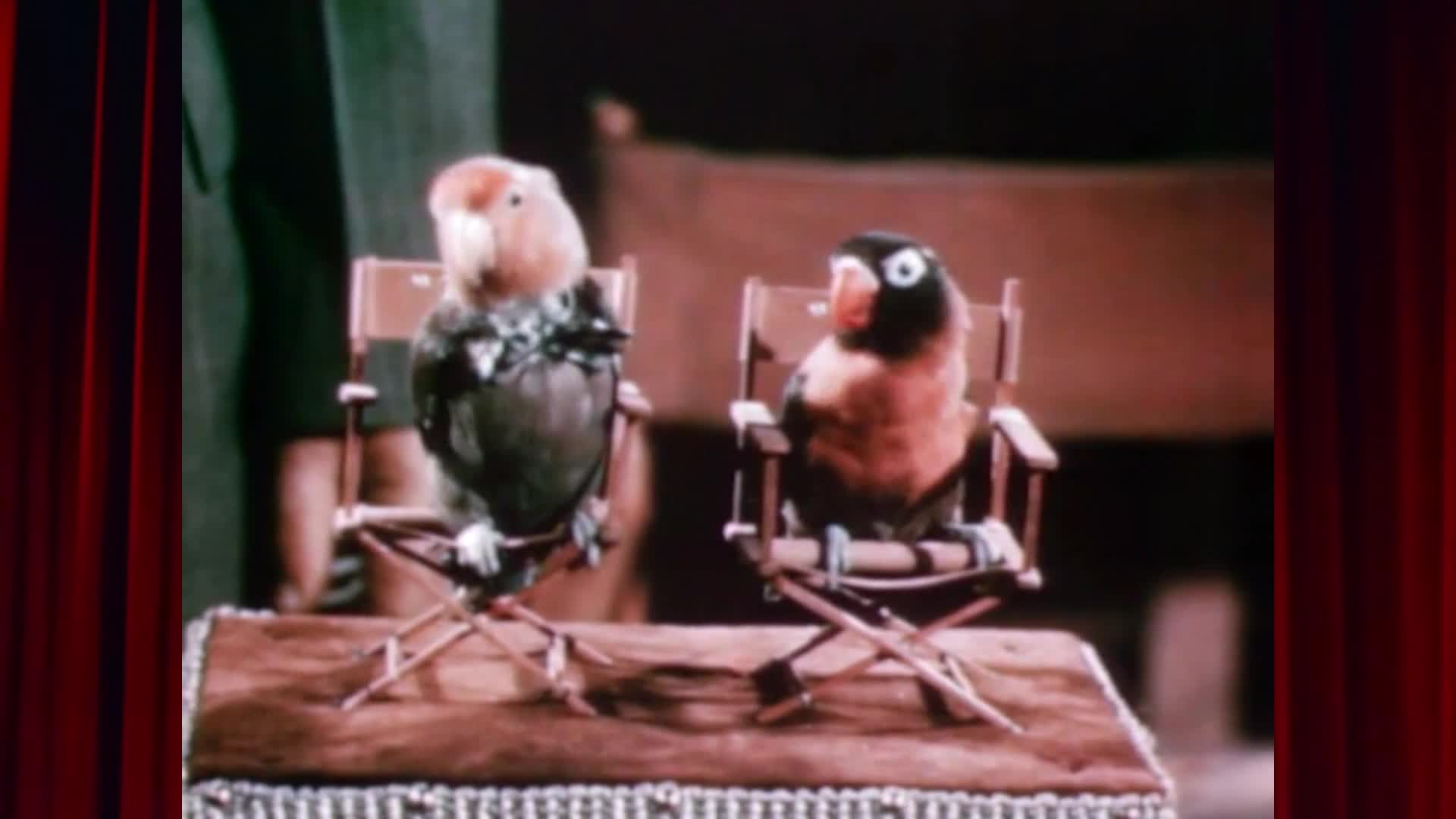 Thumbnail image for W.O.N Theatre - Bill & Coo (1948)