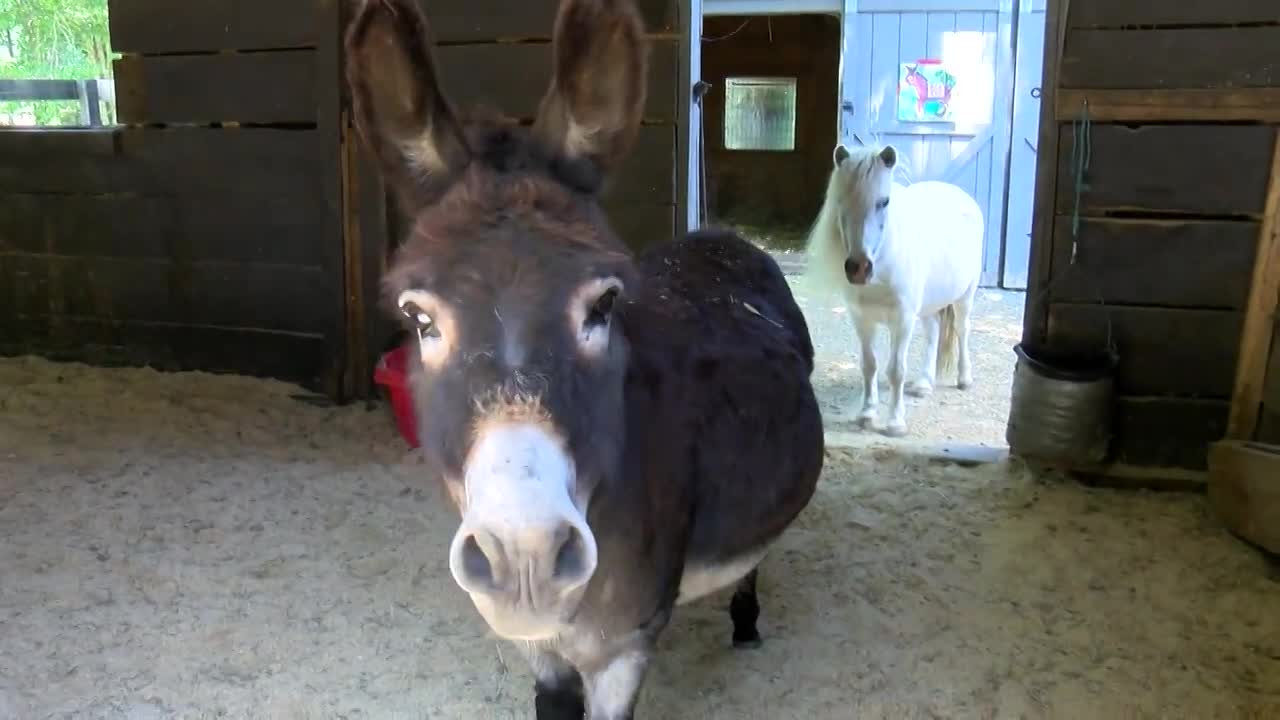 Thumbnail image for Timing is Everything - Ep 52 - Minis With a Mission